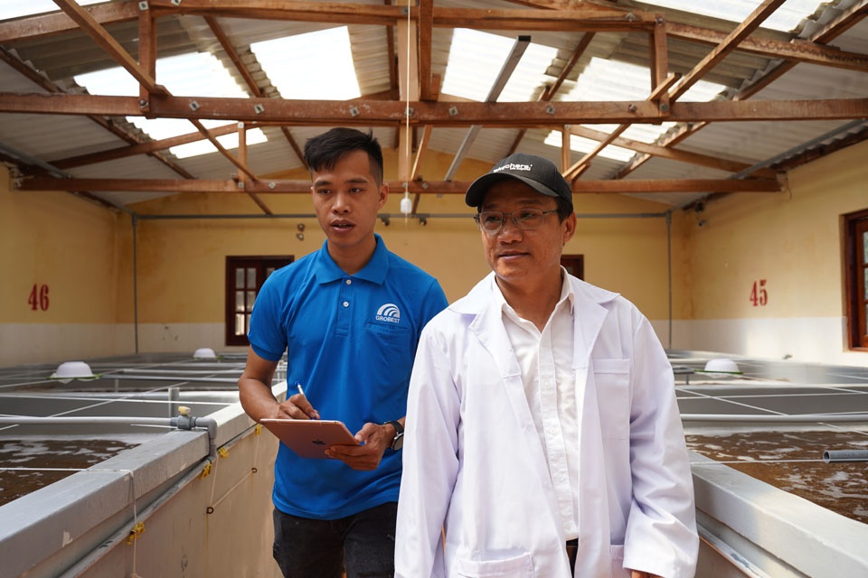 Grobest tôm giống